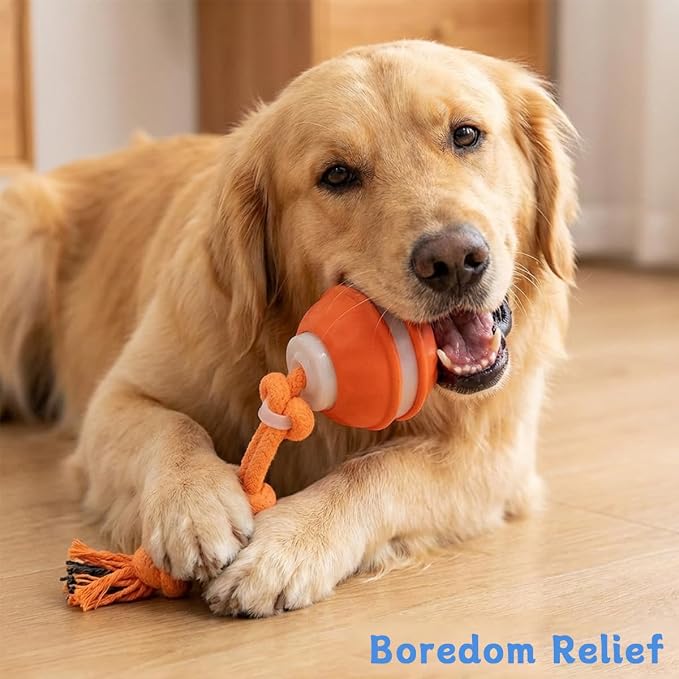 Interactive Dog Toys ，2026 upgraded motion-sensing pet toy ball, interactive - Image 7