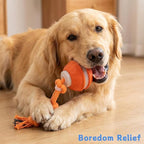 Zealburst Interactive Dog Toy, 360° Smart Automatic Rolling Moving Toy - Image 4