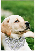 ARING PET Dinosaur Dog Bandanas, Summer Kerchief Triangle Bibs Scarf - Image 5