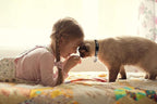 Baeuppit 2PCS Breakaway Cat Collars - Image 7