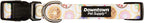 Downtown Pet Supply - Image 3