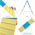 Dog Agility Equipment for Small & Medium Dogs, Puppy Agility Course Backyard - Image 5