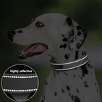 PetiFine Dog Collar for Large Dogs, Neoprene Padded and Adjustable, Reflective - Image 4