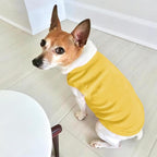 Personalized Dog Shirt Custom Pet T Shirts - Image 5
