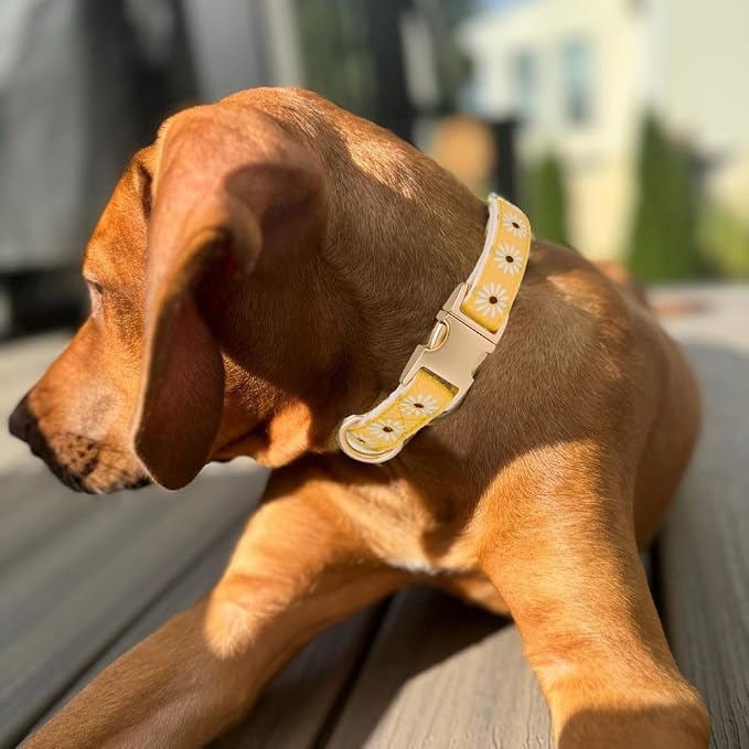 Woven Dog Collar with Metal Buckle Adjustable Jacquard Retro Dog Collars - Image 4