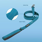 Best Pet Supplies Voyager Reflective Dog Leash or Collar - Image 2