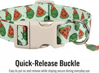 Dog Collar for Small Dogs, Summer Dog Collar - Image 3