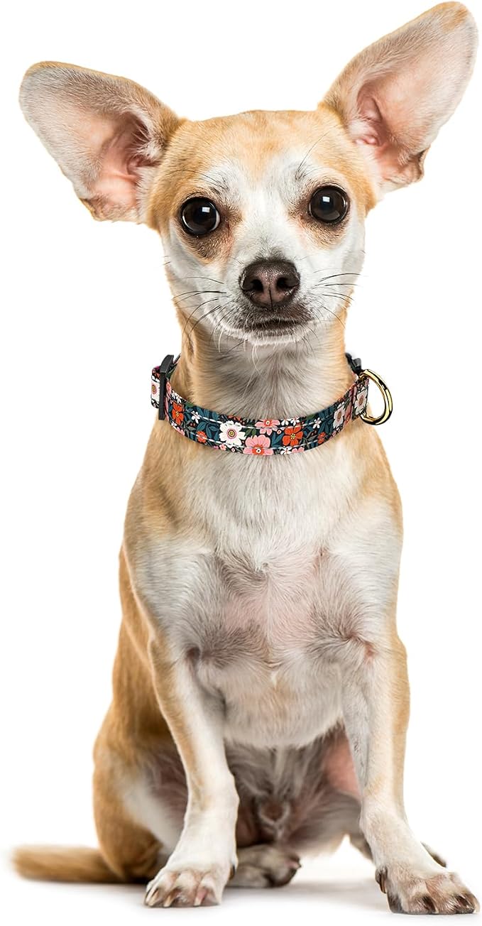 Reflective Dog Collar for Extra Small Dogs, Cute Flower Theme Adjustable - Image 2