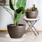 2 Pack of 19 inch Plant Saucer, 2.7" Depth Tray, Large Deep Garden Plastic - Image 6