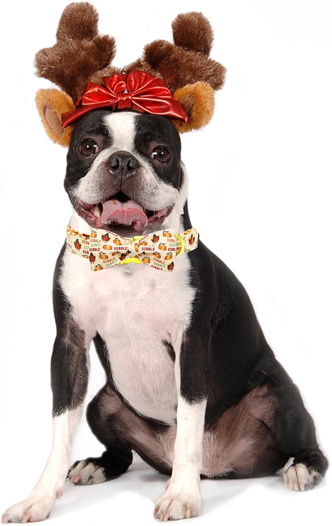 Dog Collar, Thanksgiving Turkey Pet Collar Bow Holiday Girl Boy Bow Dog Collars - Image 5