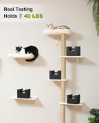 FUKUMARU Cat Wall Shelves, Stable Wall Mounted Cats Furniture Set, Kitten - Image 5