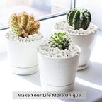 10LB Succulent and Cactus Gravel, 1/5 Inch White Natural Decorative Polished - Image 7