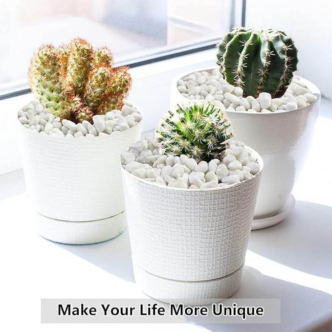 5LB Succulent and Cactus Gravel Pebbles, 1/5 Inch White Natural Decorative - Image 5