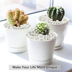 5LB Succulent and Cactus Gravel Pebbles, 1/5 Inch White Natural Decorative - Image 5