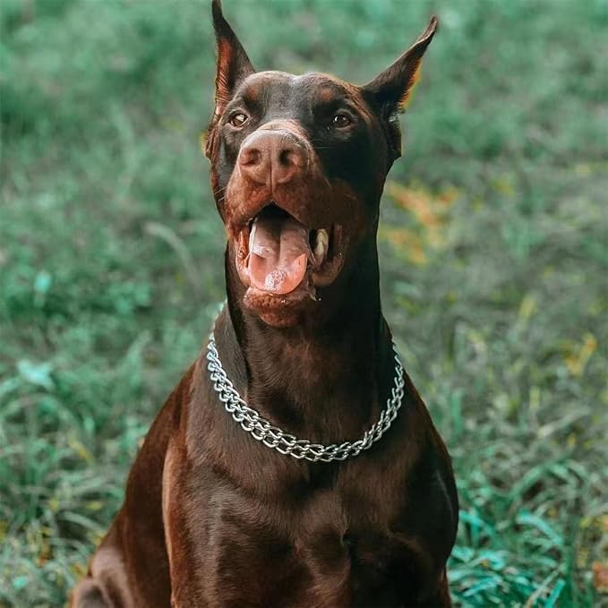 Silver Dog Choker Collar, 2 Rows Stainless Steel Dog Chain Cuban Link Metal - Image 2
