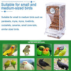 Hamiledyi Automatic Parrot Feeder - Image 7