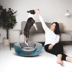 Asvin Medium Dog Bed for Medium Dogs, Cat Beds for Indoor Cats, Pet Bed for - Image 6