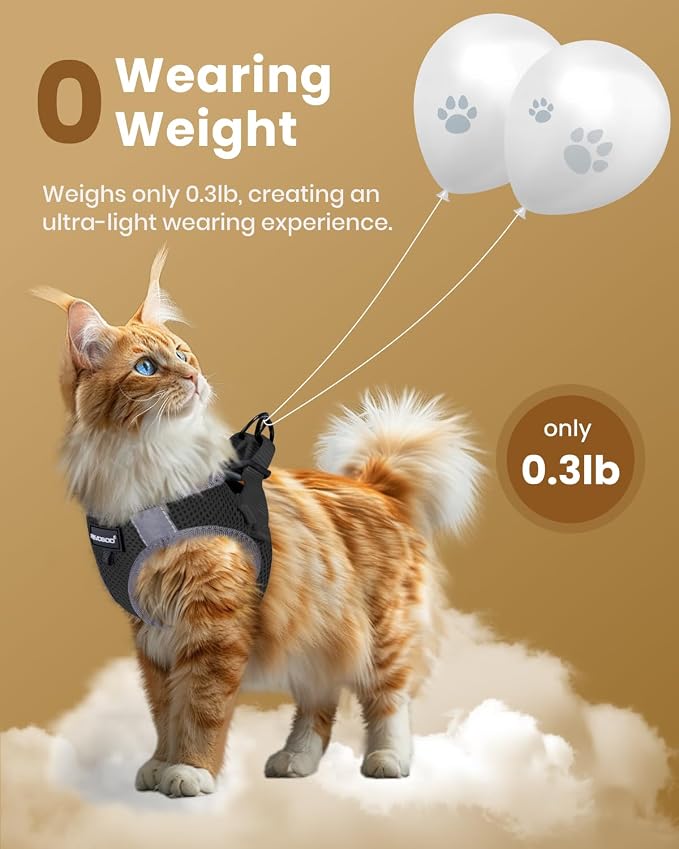 FAYOGOO Cat Harness and Leash Set | Upgrade Step-in Escape Proof Harness | - Image 4