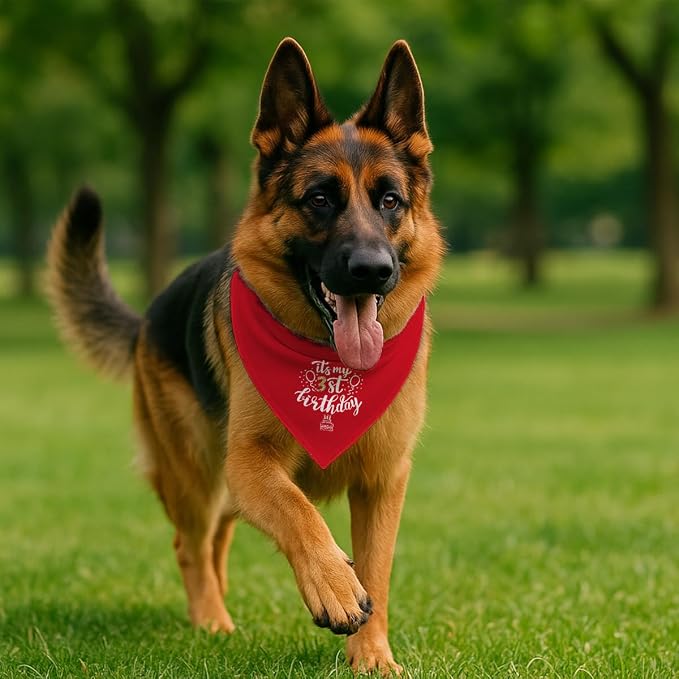 Birthday Dog Bandana, It's My 3 st Birthday Pet Costumes, Adjustable - Image 4