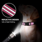 Hikiko Martingale Dog Collars Reflective Nylon Dog Collar - Image 2