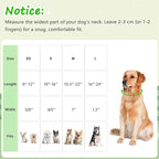Medium Dog Collars for Male Dogs, Boy Dog Collars - Image 2