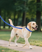 Joytale Reflective Dog Collar, Adjustable Nylon Pet Collar - Image 6