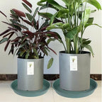 2 Pack of 14 inch Plant Saucer, 1.7" Depth Tray, Large Deep Garden Plastic - Image 7