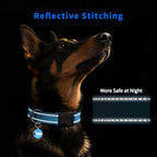 Reflective Dog Collar for Small Dogs - Image 3