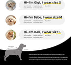 Custom Dog Shirt with Name Photo Text Logo Personalized Dog Pullover Shirts - Image 5