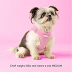 Downtown Pet Supply Step-in Dog Harness – No Pull, Adjustable Padded Mesh - Image 2