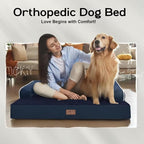 Small Dog Bed and Cat Sofa Waterproof Orthopedic Dog Beds - Image 7