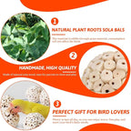 12 Pack Bird Toy Sola Balls, Natural Parrot Soft Chew Shredding & Foraging Toy - Image 3