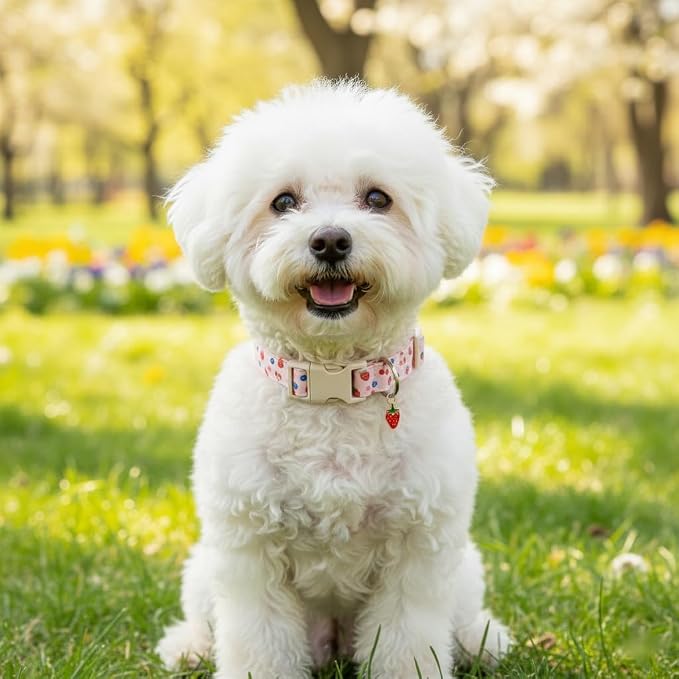 Small Dog Collar, Cute Dog Collar - Image 7