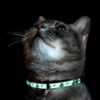 Pawtitas Glow in The Dark Cat Collar - Image 7