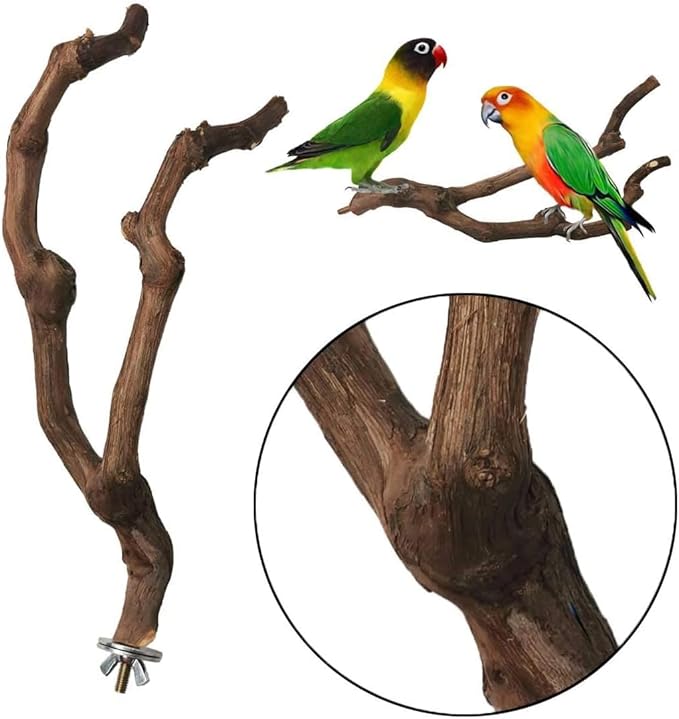 kathson Natural Parrot Perch Bird Stand Pole Wild Grape Stick Paw Grinding Fork - Image 6