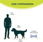 FitPAWS® K9FITbone® - Image 2