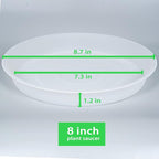 6 Pack of 8 inch Plant Saucer Clear, Heavy Duty Plastic Plant Water Tray 8 inch - Image 2