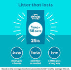 sWheat Scoop Natural Wheat Cat Litter, Fast Clumping - Image 6