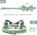 Soft Corduroy Cat Collar, Plaid Pattern, - Image 4