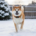 Small Christmas Dog Collar, Adjustable Dog Christmas Collars, Cute Dog Collars - Image 5