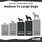 Barkbox Super Chewer Tough Dog Chew Toys - Image 6