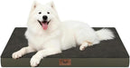 Large Comfy Washable Dog Bed, Orthopedic Egg Crate Foam Dog Crate Mat by TailStories