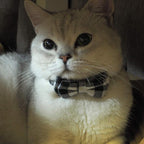Cat Collar Breakaway with Bell and Bow Tie, Plaid Design Adjustable Safety - Image 3