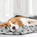 Comsmart Dog Blankets for Small Dogs, 6 Pack Puppy Blanket Cute Paw Print Pet - Image 7