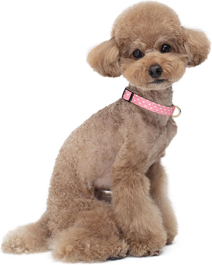 Reflective Dog Collar for Small Dogs, Cute Adjustable Heavy-Duty Nylon Puppy - Image 2