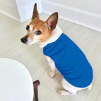 Custom Dog Clothes Shirts for Small Large Dogs Breathable Pet Shirt Customized - Image 5