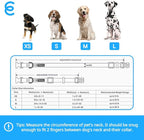 Blueberry Pet Essentials Matching Small Dog Collar | Adjustable Classic Solid - Image 9