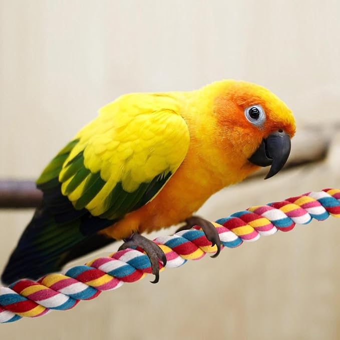 Bird Rope Perches, Parrot Toys 48 inches Rope Bungee Bird Toy - Image 8