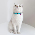 Breakaway Cat Collar Leather - Image 6
