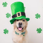 St Patricks Day Dog Collar for Medium Dogs - Image 4